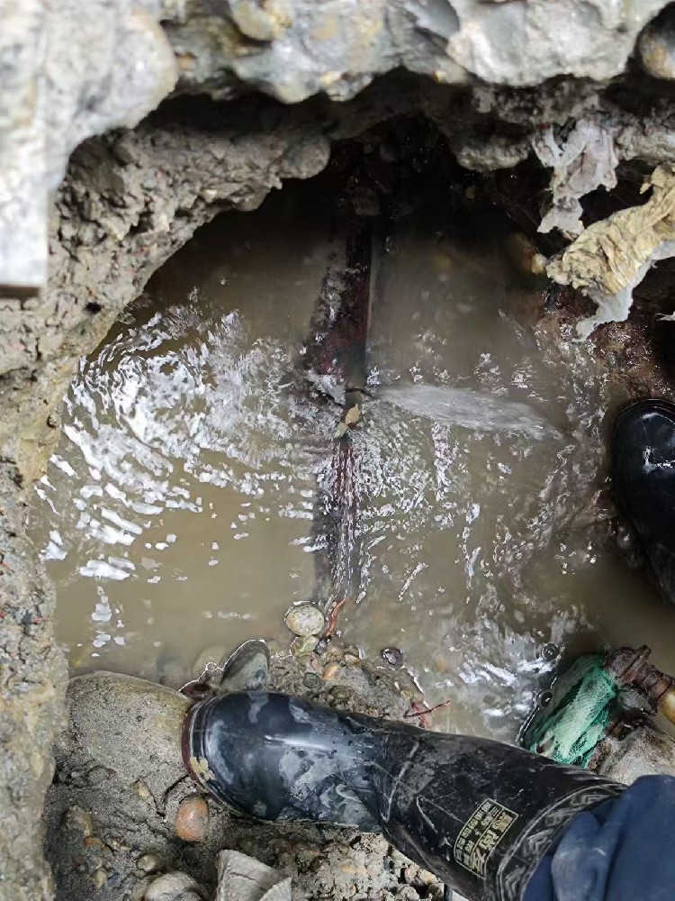 八步区本地服务：小区水管漏水检测维修